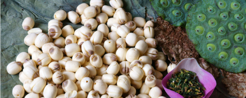 新鲜莲子能不能生吃，生吃莲子有什么好处