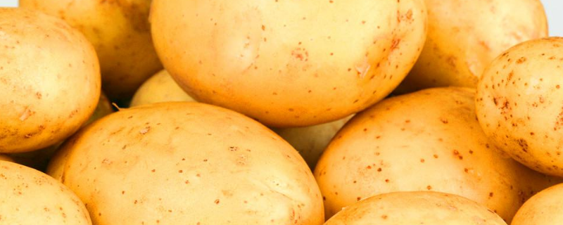 土豆可不可以生吃，土豆怎么吃（百度问一下土豆可以生吃吗）