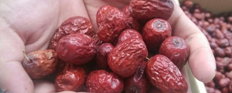 生虫了的枣还能吃吗,枣的品种有哪些