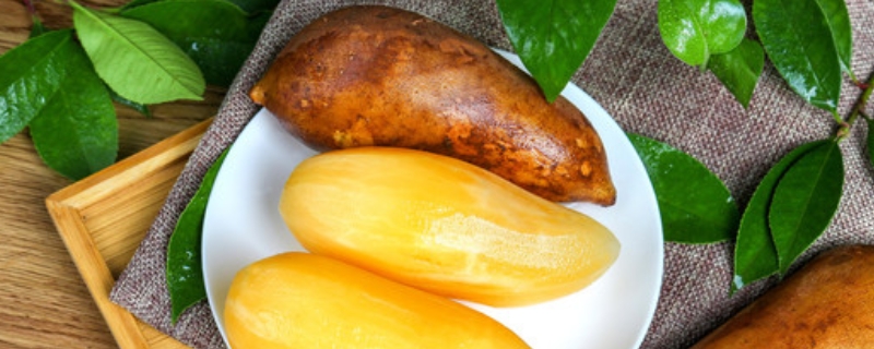 雪莲果怎么种植 雪莲果怎么种植视频