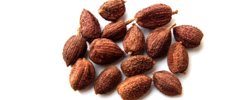 砂仁又被称作什么，砂仁的价格如何 砂仁和砂仁的区别