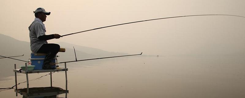 战斗竿是什么意思（战斗竿好用吗）