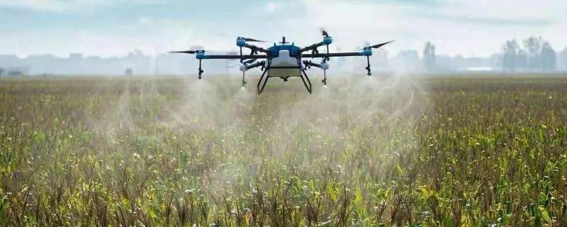 虫酰肼的用途是什么,使用注意事项有哪些