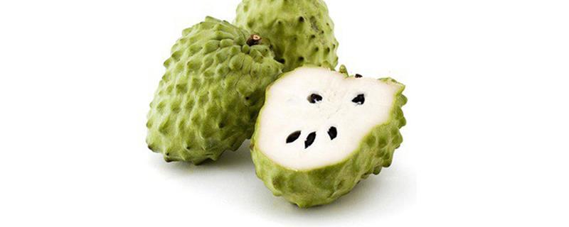 番荔枝种子怎么种 番荔枝的种子怎么种