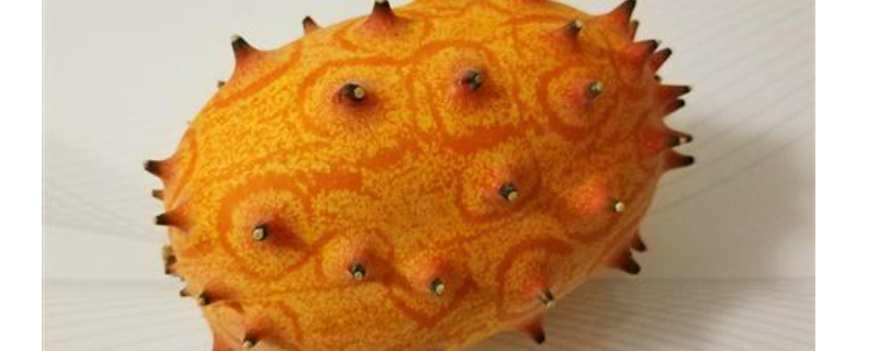 火参果籽怎么种，附种植要点 火参果的栽培技术