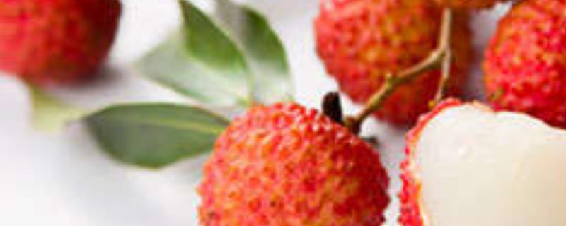 荔枝蜜结晶是什么样子的,结晶原理是什么