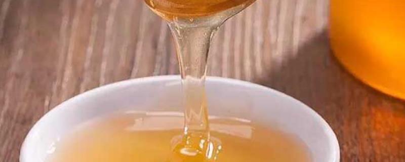 荔枝蜜是蜂蜜吗，有什么特色 荔枝蜂蜜的特点