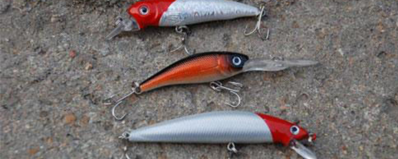 路亚是钓什么鱼的（路亚是钓什么鱼的?）