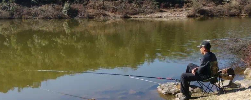 多长的并继竿为好（并继竿什么尺寸最好）