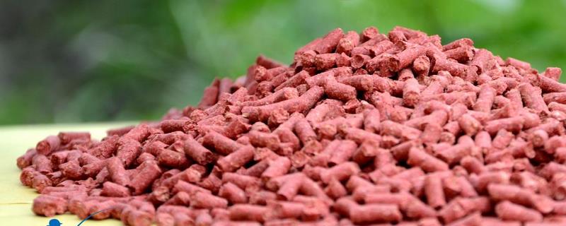 红虫颗粒饵料怎么挂钩（红虫颗粒饵料怎么挂钩子）