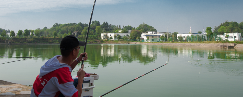 遛鱼技巧及操作方法，附溜鱼方式 遛鱼手法视频