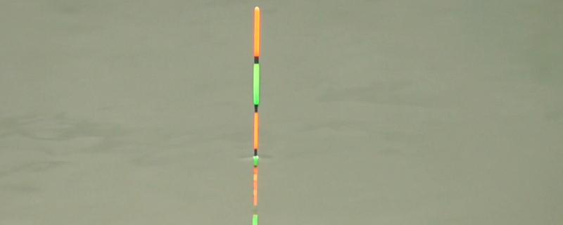 顿口是下顿提竿还是上升提竿 顿口什么时候提竿中鱼