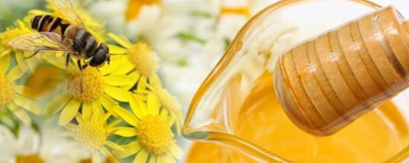 真蜂蜜大概多少钱一斤,附蜜种划分(蜂蜜的种类及价格)