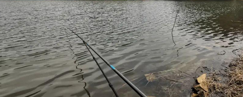 7.2米大物竿主线多长 7.2米大物竿配多大的线组