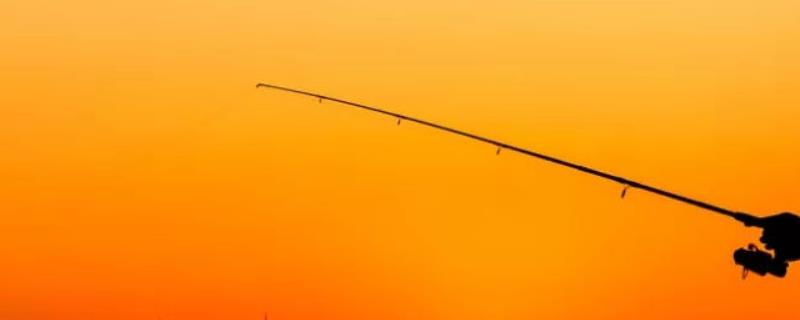 夏季钓鱼用什么鱼饵 夏季钓鱼用什么鱼饵钓鱼最好