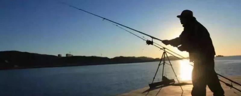 5米4手竿用几号主线 5米4手竿用几号主线合适