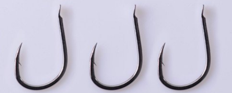 伊势尼8号钩适合钓多大的鱼 伊势尼8号钩钓鲤鱼合适吗