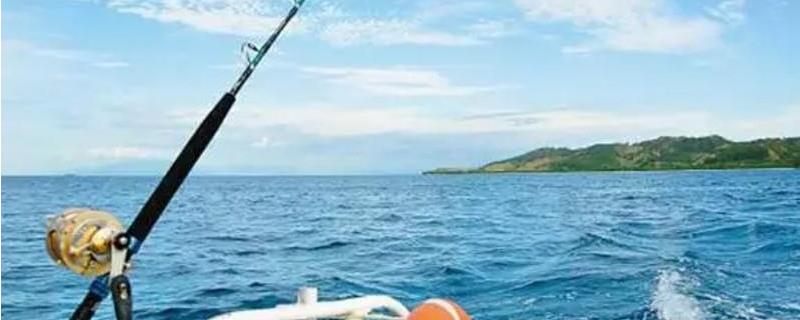 海钓有哪些基本装备（海钓有哪些基本装备技巧）
