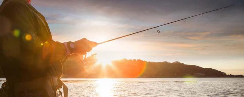 矶竿和前打竿哪个更实用（矶竿好用还是前打竿好用）