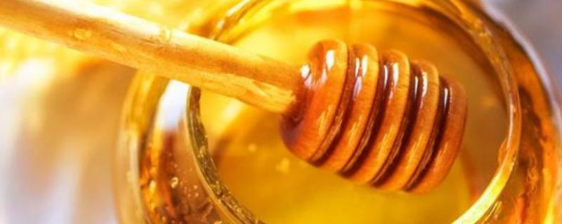 枣花蜜会结晶吗，附注意事项 枣花蜜放冰箱会结晶吗