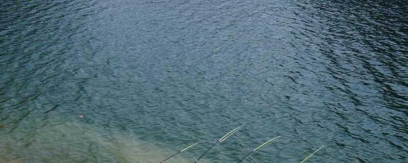 钓黑鱼用什么鱼竿 钓黑鱼用什么鱼竿和轮子