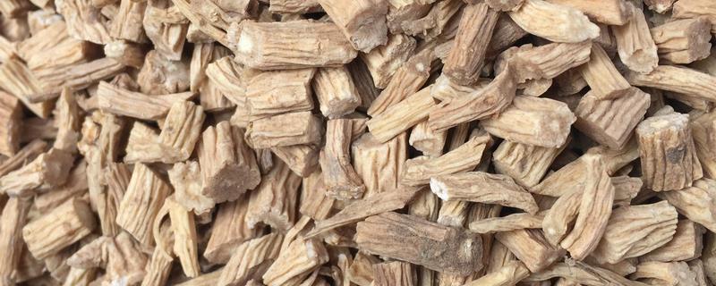 党参种子播种方法，附播种时间 党参种子什么时候播种