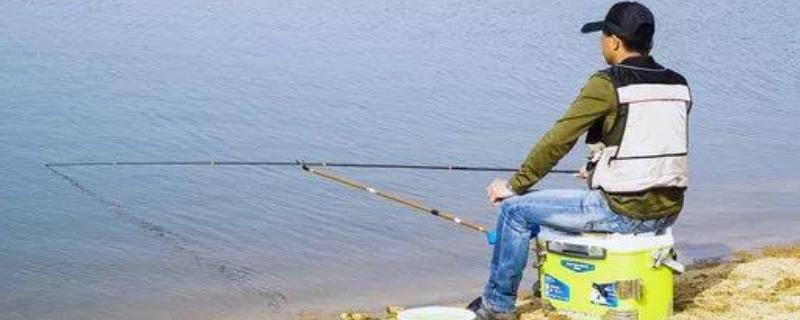 鲫鱼18种漂相是哪18种（鲫鱼的吃口十种漂相）