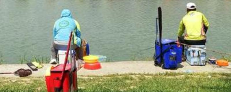 钓黑鱼的最佳时间,附钓鱼点的选择(钓黑鱼时间段)