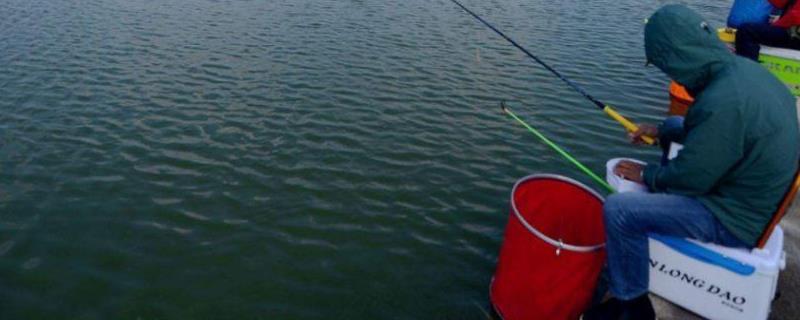 钓鲈鱼实用技巧大全，附钓鱼工具 野钓鲈鱼技巧