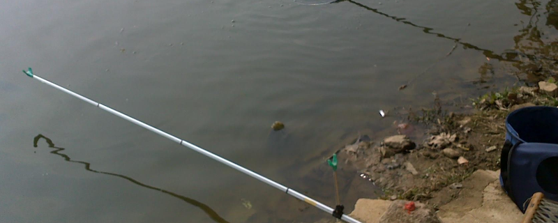 黑坑钓鱼技巧全攻略,有以下五点 黑坑如何钓鱼