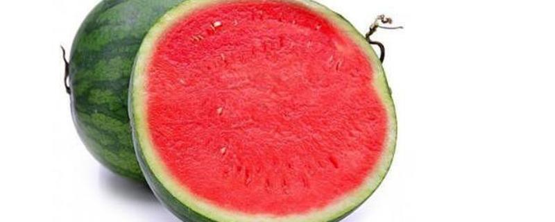 无籽西瓜是转基因吗(麒麟无籽西瓜是转基因吗)