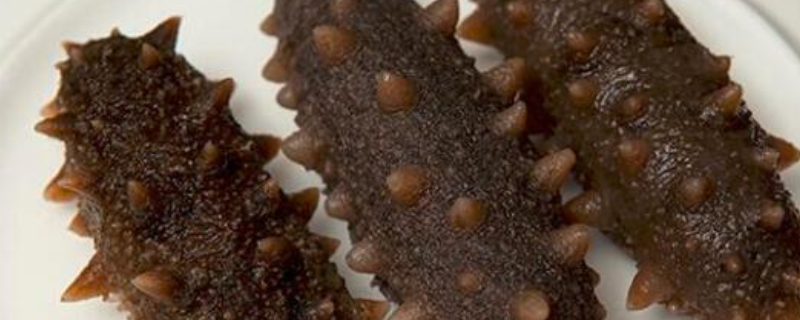 即食海参产地在哪里（即食海参长什么样）