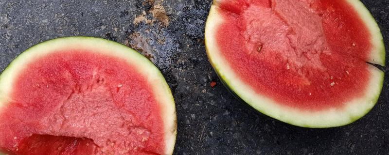 无籽西瓜是怎么来的 无籽西瓜是怎么来的读后感