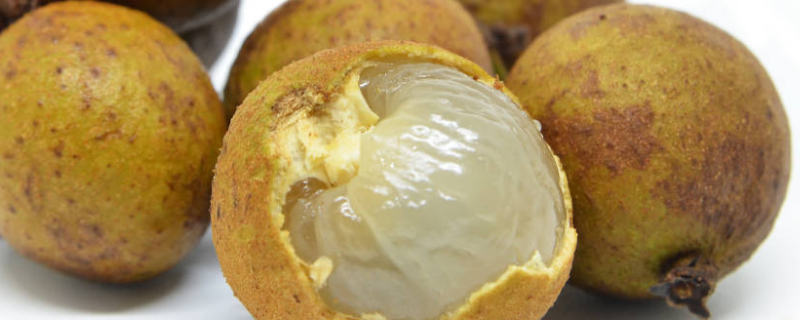 龙眼是热性还是凉性 新鲜龙眼是热性还是凉性