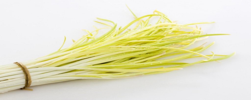 韭黄的介绍,韭黄和蒜黄有哪些方面的区别