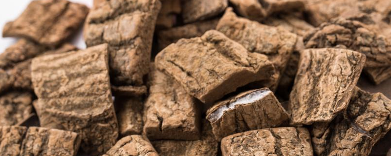 杜仲是什么，主要产地在哪 杜仲的主要产地是哪里