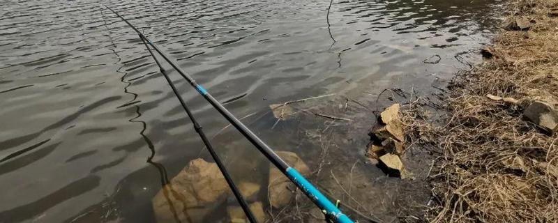 鲤鱼竿和综合竿有什么区别（综合竿和鲤鱼竿哪个好）