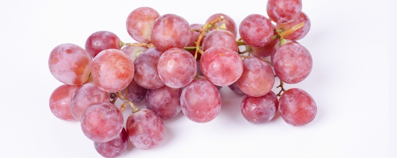 提子和葡萄的区别有哪些,产地与形状有什么区别