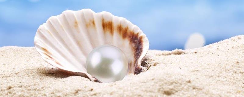 珍珠是怎么形成的,珍珠的形状和品种分类