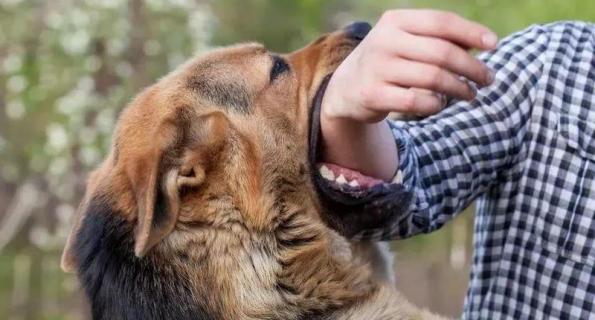 狂犬病的早期症状有哪些（狂犬病的早期症状有哪些常见的）