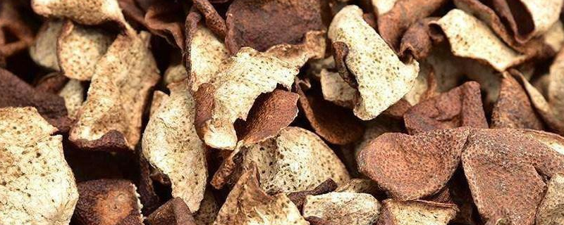 陈皮是橘子皮吗（陈皮是橘子皮吗还是桔子皮）