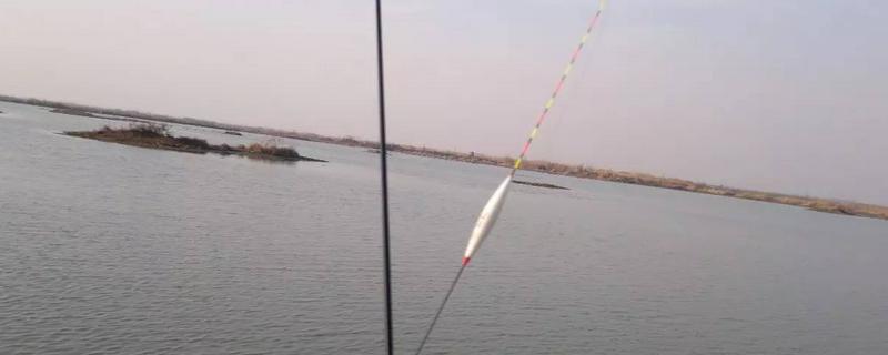 冬季钓鲫鱼用什么漂最好 冬季钓鲫鱼用什么漂最好呢