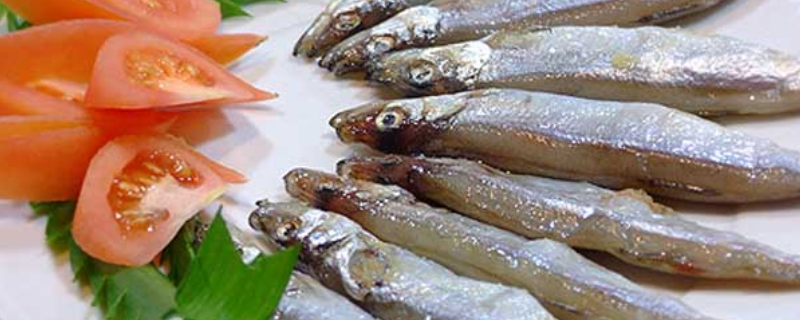 黄花鱼能人工养殖吗 黄花鱼可以人工饲养吗