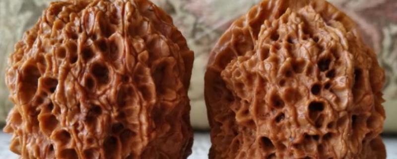 铁核桃是什么核桃 铁核桃百度百科