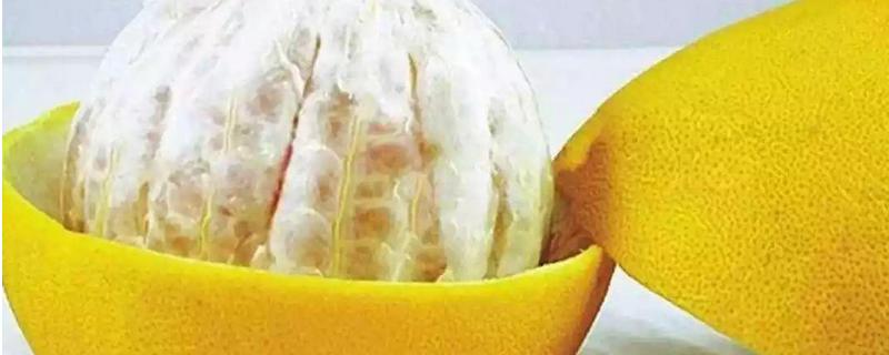 沙田柚种植几年结果 沙田柚从种植苗到结果要多少年