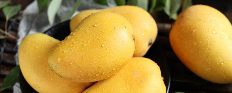 芒果什么时候成熟（芒果什么时候成熟采摘）