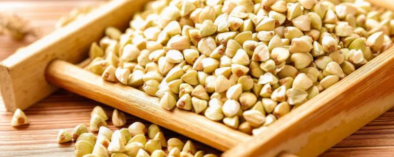 荞麦茶多少钱一斤(荞麦茶多少钱一斤呀)