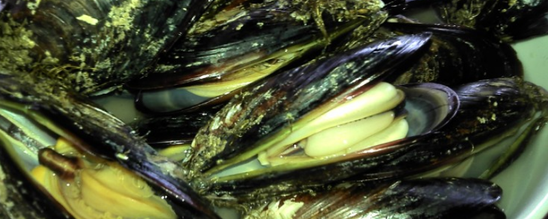 淡菜多少钱一斤 淡菜多少钱一斤?