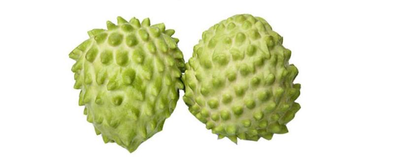 番荔枝什么时候成熟 番荔枝啥时候成熟