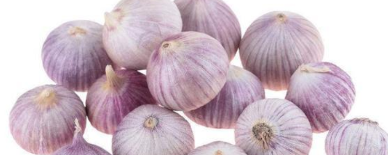 独蒜是怎么形成的 独独蒜形成原因